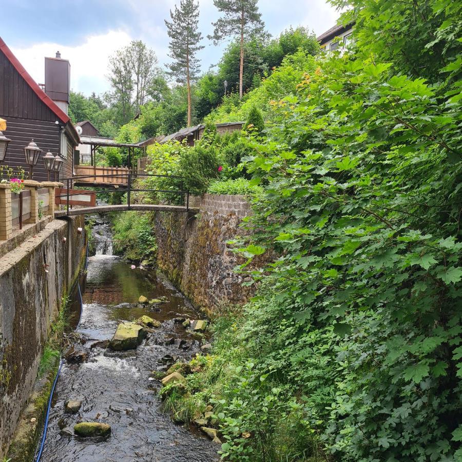 Harz Im Herzen Altenau  Kültér fotó
