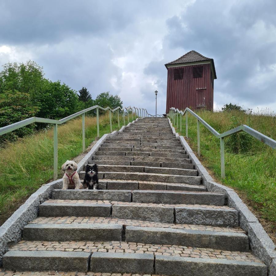 Harz Im Herzen Altenau  Kültér fotó